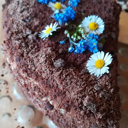 Apartamento Gartenwohnung Auf Der Sommeralm