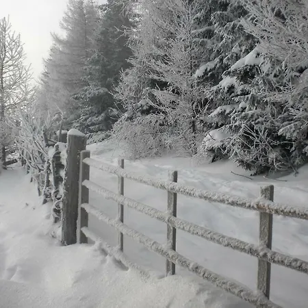Gartenwohnung Auf Der Sommeralm Apartamento