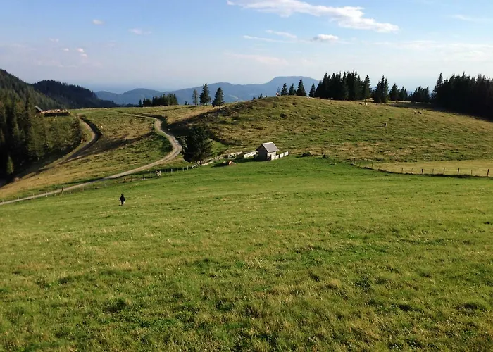 Apartment Gartenwohnung Auf Der Sommeralm *