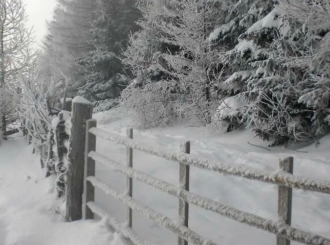 Gartenwohnung Auf Der Sommeralm شقة